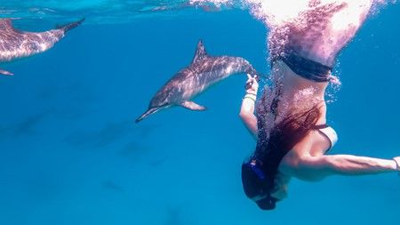 Shaab Sataya Dolphin Reef